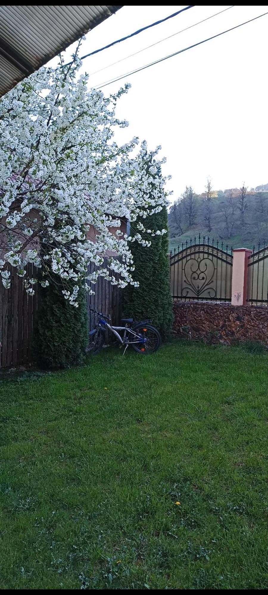 Curtea de Argeş Popasul Drumetului Transfagarasan酒店 外观 照片