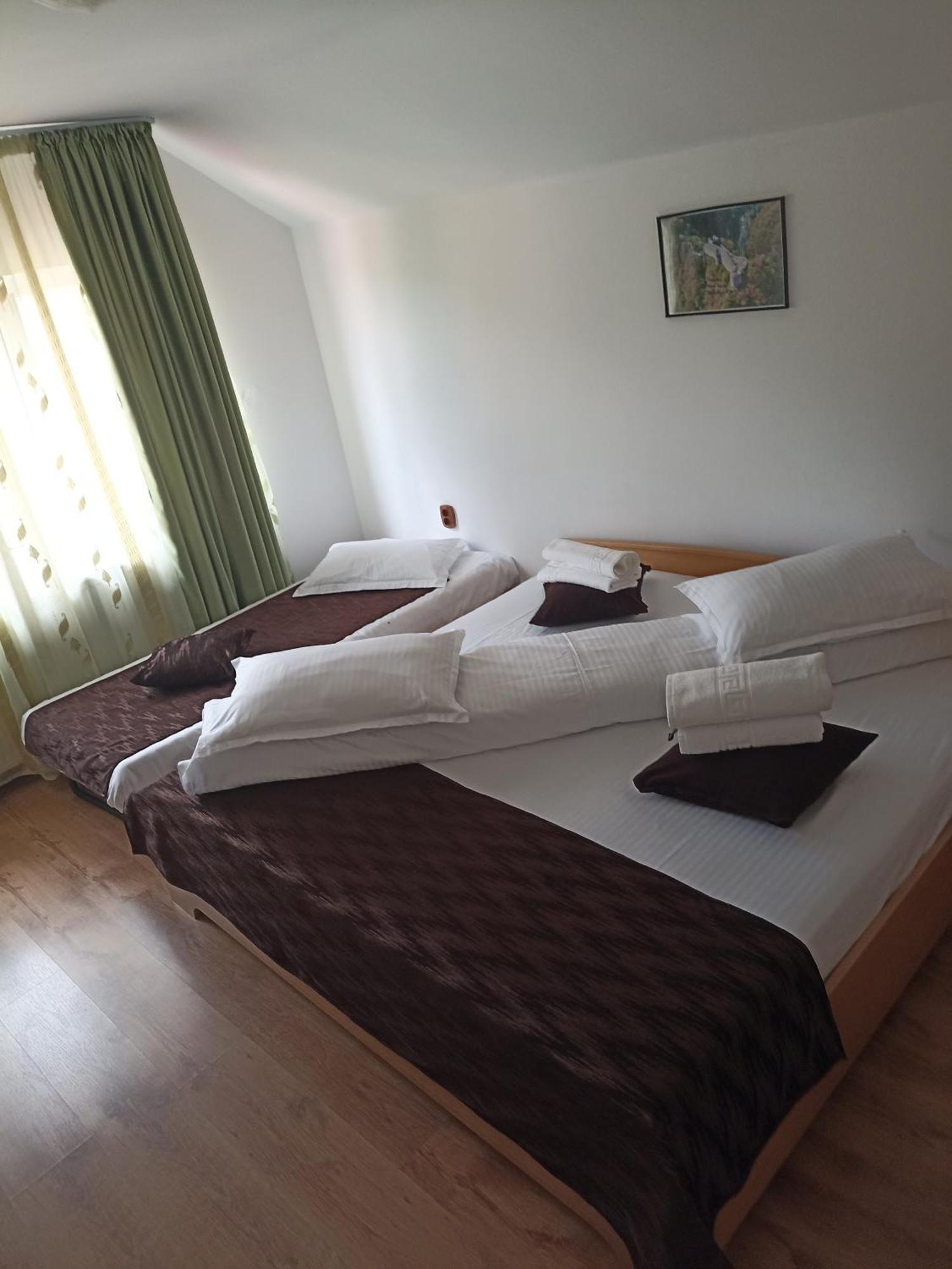Curtea de Argeş Popasul Drumetului Transfagarasan酒店 外观 照片